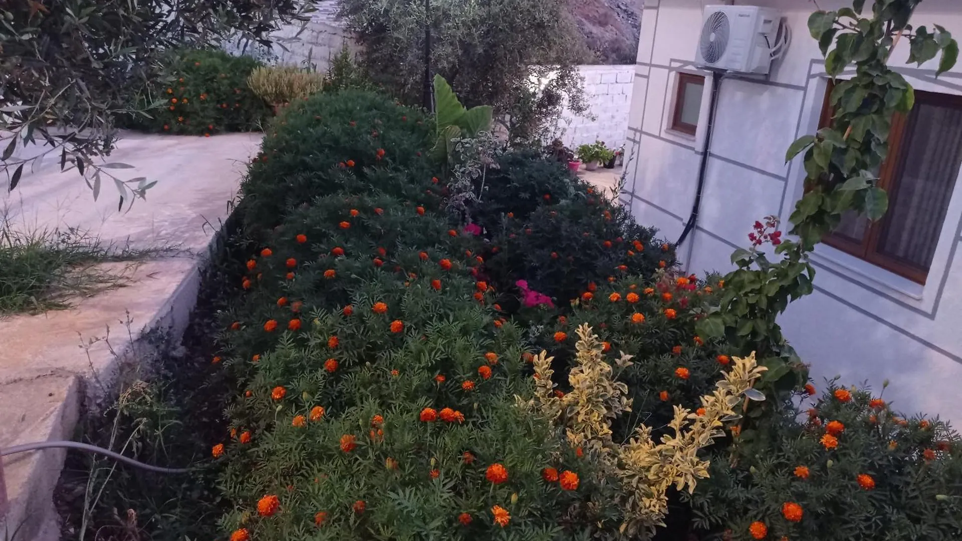 Amar Seaside Apartment Ksamil