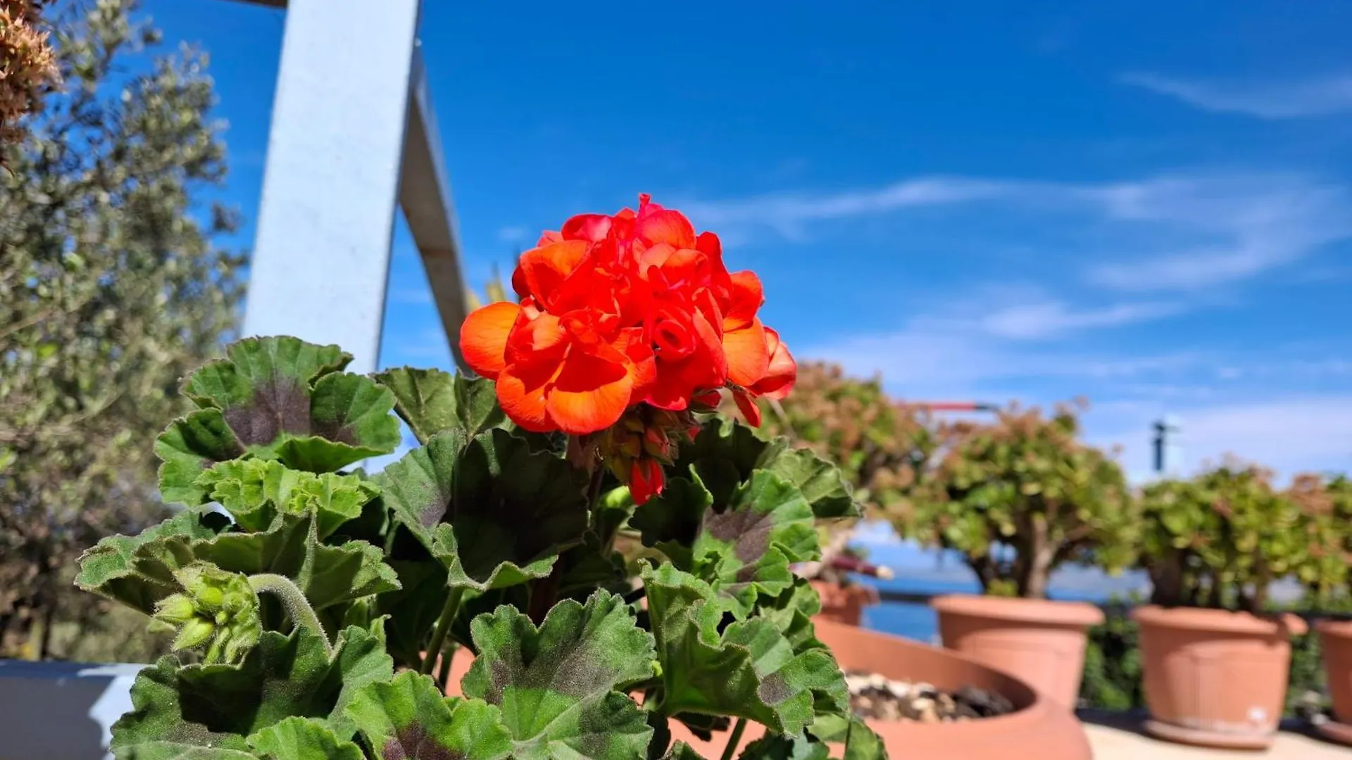 Amar Seaside Apartment Ksamil